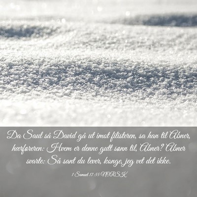 Picture 03 - 1 Samuel 17:55 NORSK - Da Saul så David gå ut imot filisteren, sa han - Bible Verse Picture