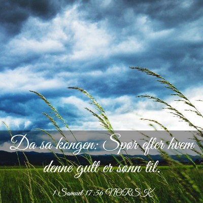 Picture 03 - 1 Samuel 17:56 NORSK - Da sa kongen: Spør efter hvem denne gutt er - Bible Verse Picture