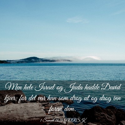 Picture 03 - 1 Samuel 18:16 NORSK - Men hele Israel og Juda hadde David kjær; for - Bible Verse Picture