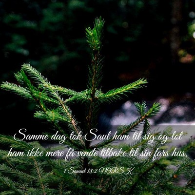 Picture 03 - 1 Samuel 18:2 NORSK - Samme dag tok Saul ham til sig og lot ham ikke - Bible Verse Picture