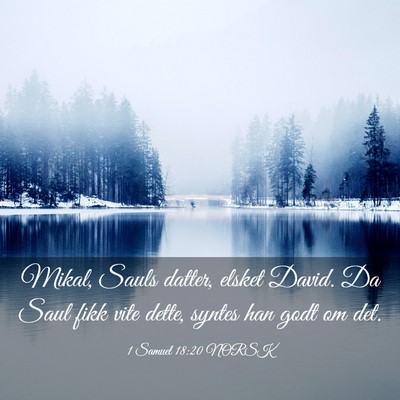 Picture 03 - 1 Samuel 18:20 NORSK - Mikal, Sauls datter, elsket David. Da Saul fikk - Bible Verse Picture