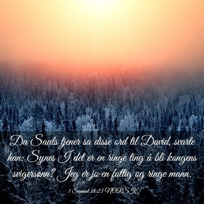 Picture 03 - 1 Samuel 18:23 NORSK - Da Sauls tjener sa disse ord til David, svarte - Bible Verse Picture