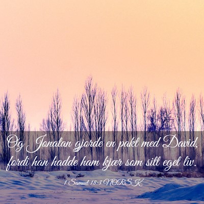 Picture 03 - 1 Samuel 18:3 NORSK - Og Jonatan gjorde en pakt med David, fordi han - Bible Verse Picture