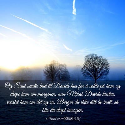 Picture 03 - 1 Samuel 19:11 NORSK - Og Saul sendte bud til Davids hus for å vokte - Bible Verse Picture