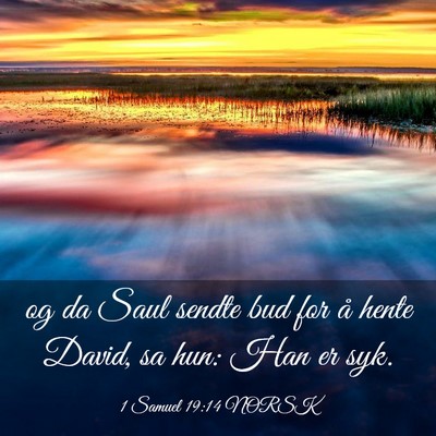 Picture 03 - 1 Samuel 19:14 NORSK - og da Saul sendte bud for å hente David, sa hun: - Bible Verse Picture