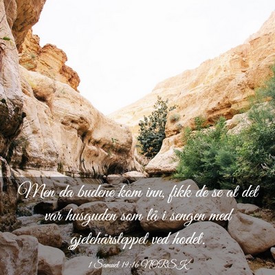 Picture 03 - 1 Samuel 19:16 NORSK - Men da budene kom inn, fikk de se at det var - Bible Verse Picture