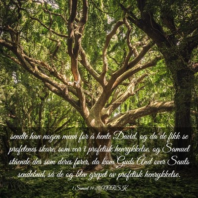Picture 03 - 1 Samuel 19:20 NORSK - sendte han nogen menn for å hente David, og da - Bible Verse Picture