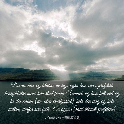 Picture 03 - 1 Samuel 19:24 NORSK - Da rev han og klærne av sig; også han var i - Bible Verse Picture