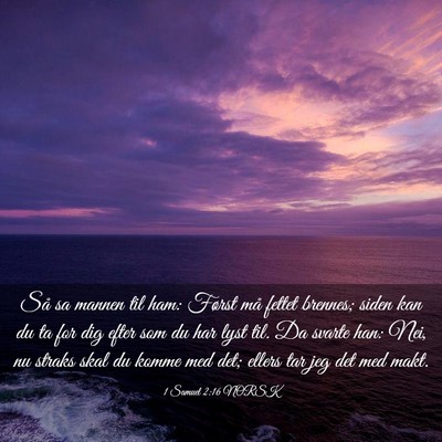 Picture 03 - 1 Samuel 2:16 NORSK - Så sa mannen til ham: Først må fettet brennes; - Bible Verse Picture