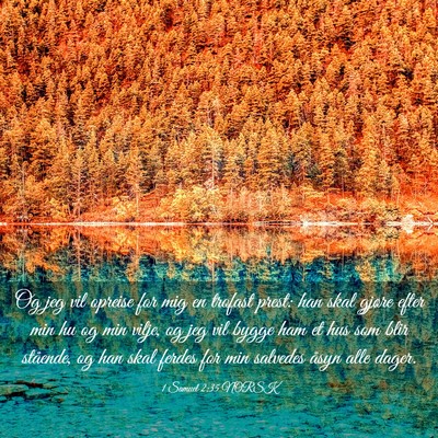 Picture 03 - 1 Samuel 2:35 NORSK - Og jeg vil opreise for mig en trofast prest: han - Bible Verse Picture