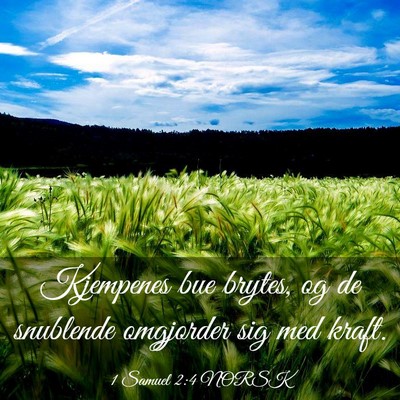 Picture 03 - 1 Samuel 2:4 NORSK - Kjempenes bue brytes, og de snublende omgjorder - Bible Verse Picture