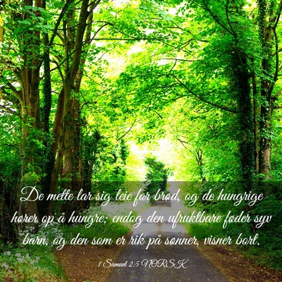 Picture 03 - 1 Samuel 2:5 NORSK - De mette lar sig leie for brød, og de hungrige - Bible Verse Picture