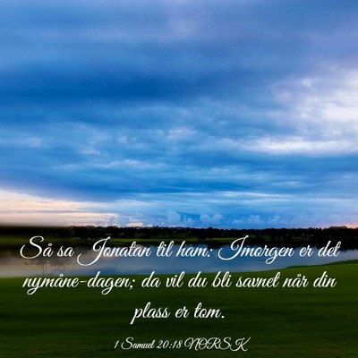 Picture 03 - 1 Samuel 20:18 NORSK - Så sa Jonatan til ham: Imorgen er det - Bible Verse Picture