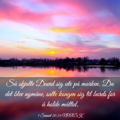 Picture 03 - 1 Samuel 20:24 NORSK - Så skjulte David sig ute på marken. Da det blev - Bible Verse Picture