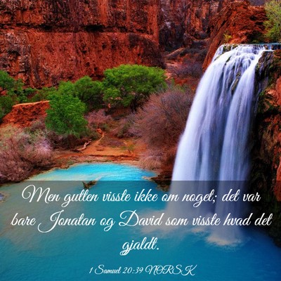 Picture 03 - 1 Samuel 20:39 NORSK - Men gutten visste ikke om noget; det var bare - Bible Verse Picture