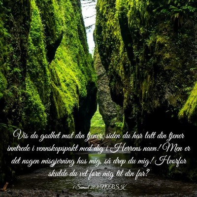 Picture 03 - 1 Samuel 20:8 NORSK - Vis da godhet mot din tjener, siden du har latt - Bible Verse Picture