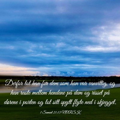 Picture 03 - 1 Samuel 21:13 NORSK - Derfor lot han for dem som han var vanvittig, og - Bible Verse Picture