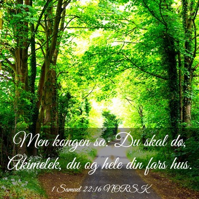 Picture 03 - 1 Samuel 22:16 NORSK - Men kongen sa: Du skal dø, Akimelek, du og hele - Bible Verse Picture