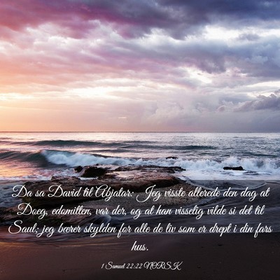 Picture 03 - 1 Samuel 22:22 NORSK - Da sa David til Abjatar: Jeg visste allerede den - Bible Verse Picture