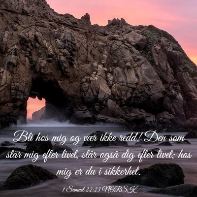 Picture 03 - 1 Samuel 22:23 NORSK - Bli hos mig og vær ikke redd! Den som står mig - Bible Verse Picture