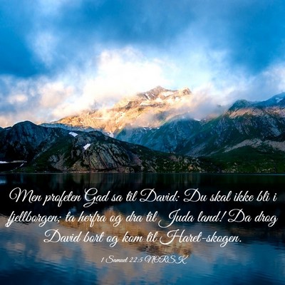 Picture 03 - 1 Samuel 22:5 NORSK - Men profeten Gad sa til David: Du skal ikke bli i - Bible Verse Picture