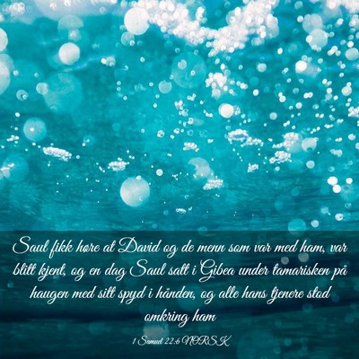 Picture 03 - 1 Samuel 22:6 NORSK - Saul fikk høre at David og de menn som var med - Bible Verse Picture