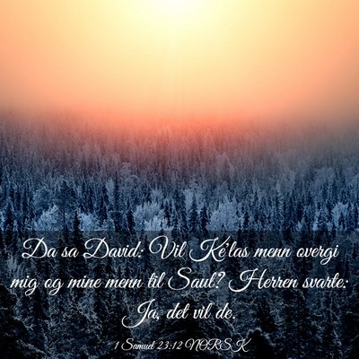 Picture 03 - 1 Samuel 23:12 NORSK - Da sa David: Vil Ke'las menn overgi mig og mine - Bible Verse Picture