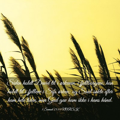 Picture 03 - 1 Samuel 23:14 NORSK - Siden holdt David til i ørkenen, i fjellborgene; - Bible Verse Picture