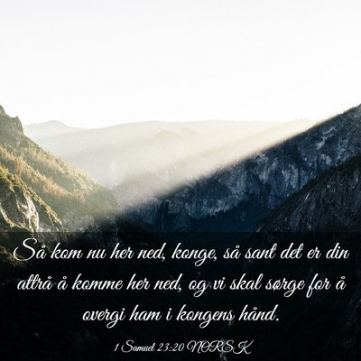 Picture 03 - 1 Samuel 23:20 NORSK - Så kom nu her ned, konge, så sant det er din - Bible Verse Picture