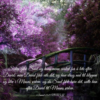 Picture 03 - 1 Samuel 23:25 NORSK - Siden gikk Saul og hans menn avsted for å lete - Bible Verse Picture