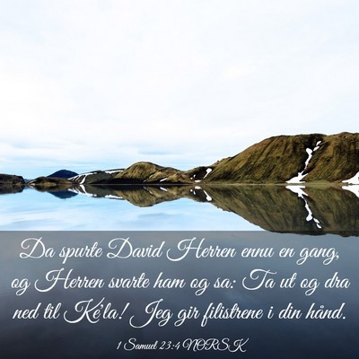 Picture 03 - 1 Samuel 23:4 NORSK - Da spurte David Herren ennu en gang, og Herren - Bible Verse Picture
