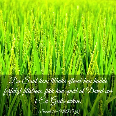Picture 03 - 1 Samuel 24:1 NORSK - Da Saul kom tilbake efterat han hadde forfulgt - Bible Verse Picture