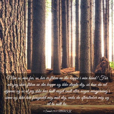 Picture 03 - 1 Samuel 24:11 NORSK - Men se, min far, se, her er fliken av din kappe i - Bible Verse Picture