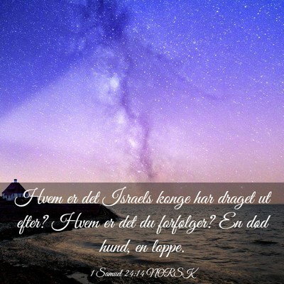 Picture 03 - 1 Samuel 24:14 NORSK - Hvem er det Israels konge har draget ut efter? - Bible Verse Picture
