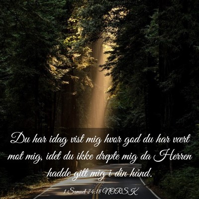 Picture 03 - 1 Samuel 24:18 NORSK - Du har idag vist mig hvor god du har vært mot - Bible Verse Picture