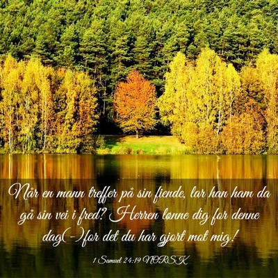 Picture 03 - 1 Samuel 24:19 NORSK - Når en mann treffer på sin fiende, lar han ham - Bible Verse Picture