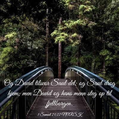 Picture 03 - 1 Samuel 24:22 NORSK - Og David tilsvor Saul det; og Saul drog hjem; men - Bible Verse Picture