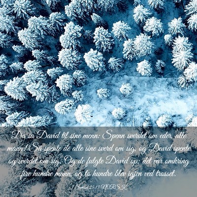 Picture 03 - 1 Samuel 25:13 NORSK - Da sa David til sine menn: Spenn sverdet om eder, - Bible Verse Picture