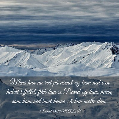 Picture 03 - 1 Samuel 25:20 NORSK - Mens hun nu red på asenet og kom ned i en hulvei - Bible Verse Picture