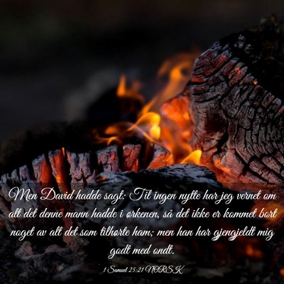 Picture 03 - 1 Samuel 25:21 NORSK - Men David hadde sagt: Til ingen nytte har jeg - Bible Verse Picture