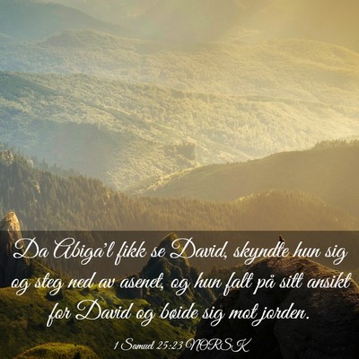 Picture 03 - 1 Samuel 25:23 NORSK - Da Abiga'l fikk se David, skyndte hun sig og steg - Bible Verse Picture