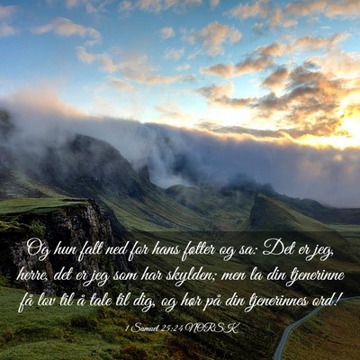 Picture 03 - 1 Samuel 25:24 NORSK - Og hun falt ned for hans føtter og sa: Det er - Bible Verse Picture