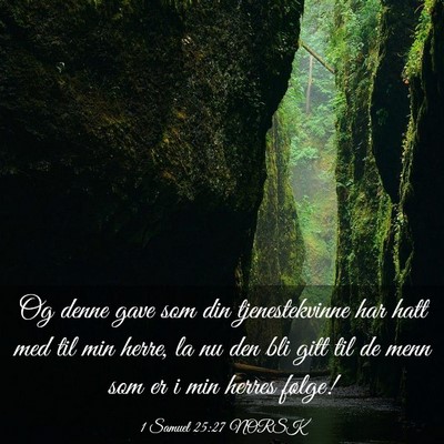 Picture 03 - 1 Samuel 25:27 NORSK - Og denne gave som din tjenestekvinne har hatt med - Bible Verse Picture