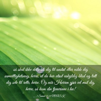 Picture 03 - 1 Samuel 25:31 NORSK - så skal ikke dette bli dig til anstøt eller - Bible Verse Picture