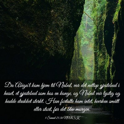Picture 03 - 1 Samuel 25:36 NORSK - Da Abiga'l kom hjem til Nabal, var det nettop - Bible Verse Picture