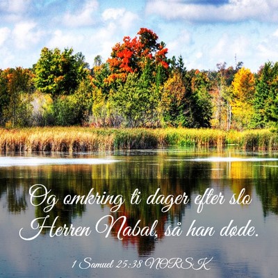 Picture 03 - 1 Samuel 25:38 NORSK - Og omkring ti dager efter slo Herren Nabal, så - Bible Verse Picture