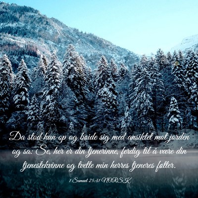 Picture 03 - 1 Samuel 25:41 NORSK - Da stod hun op og bøide sig med ansiktet mot - Bible Verse Picture