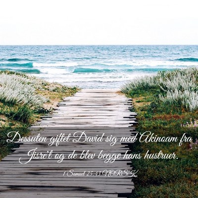 Picture 03 - 1 Samuel 25:43 NORSK - Dessuten giftet David sig med Akinoam fra Jisre'l - Bible Verse Picture