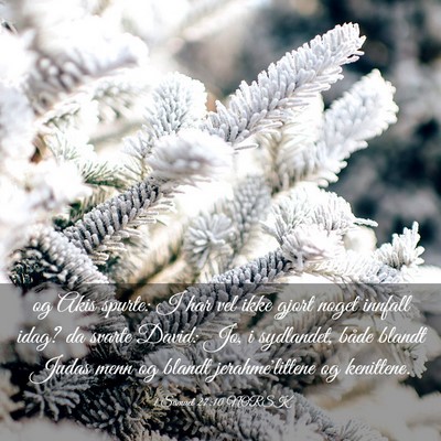 Picture 03 - 1 Samuel 27:10 NORSK - og Akis spurte: I har vel ikke gjort noget - Bible Verse Picture