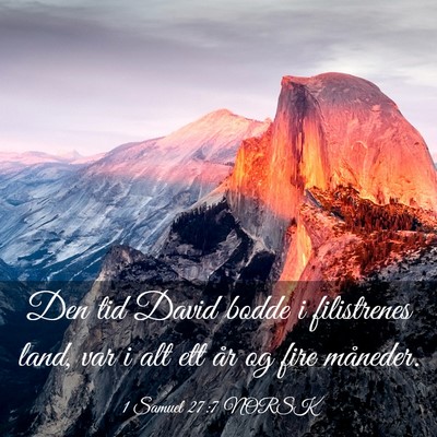 Picture 03 - 1 Samuel 27:7 NORSK - Den tid David bodde i filistrenes land, var i alt - Bible Verse Picture